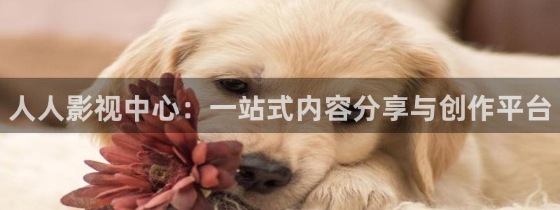 飘花在线电影院