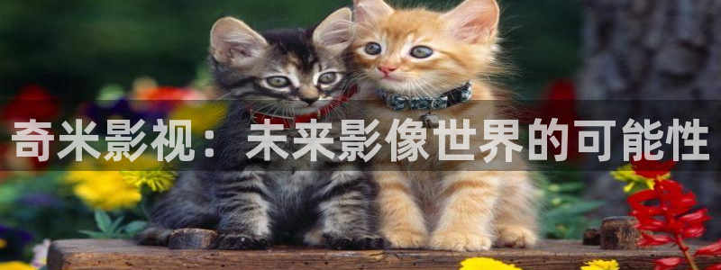 飘花影院午夜伦理