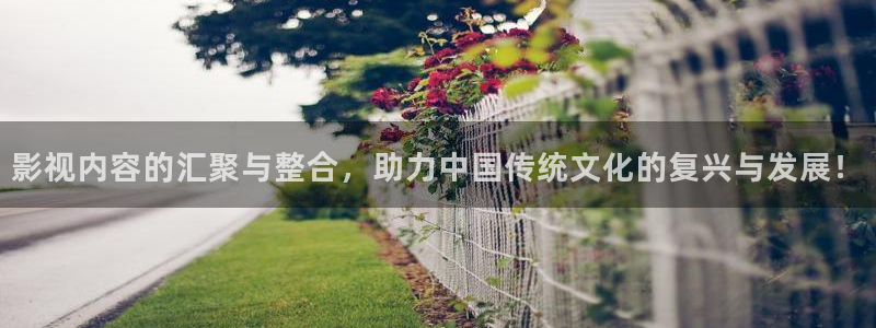 新飘花电影网免费观看